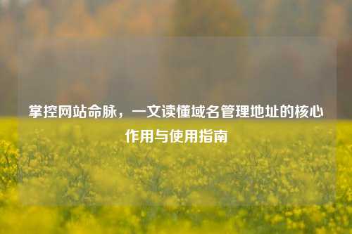 掌控网站命脉，一文读懂域名管理地址的核心作用与使用指南