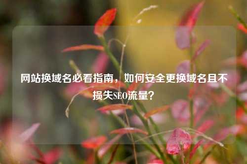 网站换域名必看指南，如何安全更换域名且不损失SEO流量？