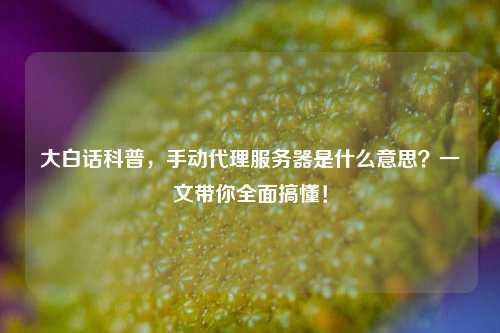大白话科普，手动代理服务器是什么意思？一文带你全面搞懂！
