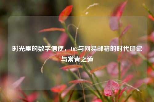 时光里的数字信使，163与网易邮箱的时代印记与常青之道