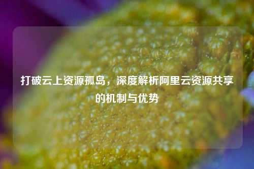 打破云上资源孤岛，深度解析阿里云资源共享的机制与优势