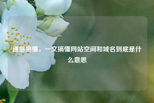 通俗易懂，一文搞懂网站空间和域名到底是什么意思