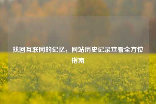 找回互联网的记忆，网站历史记录查看全方位指南