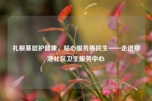 扎根基层护健康，贴心服务惠民生——走进郑港社区卫生服务中心