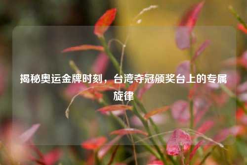 揭秘奥运金牌时刻，台湾夺冠颁奖台上的专属旋律