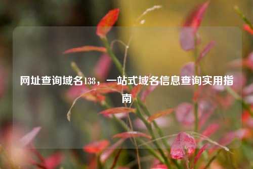 网址查询域名138，一站式域名信息查询实用指南