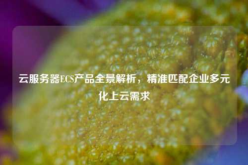 云服务器ECS产品全景解析，精准匹配企业多元化上云需求