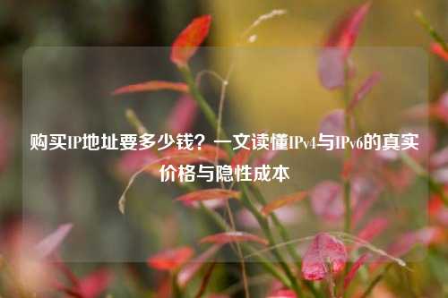 购买IP地址要多少钱？一文读懂IPv4与IPv6的真实价格与隐性成本