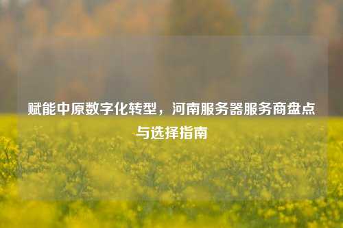 赋能中原数字化转型，河南服务器服务商盘点与选择指南