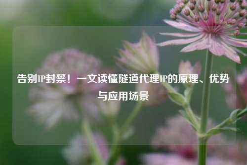 告别IP封禁！一文读懂隧道代理IP的原理、优势与应用场景