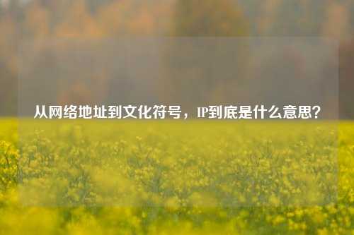 从网络地址到文化符号，IP到底是什么意思？
