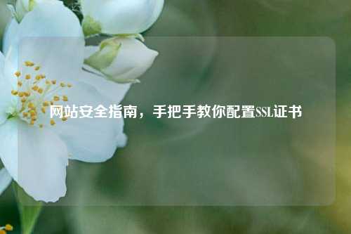 网站安全指南，手把手教你配置SSL证书