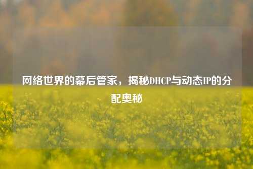 网络世界的幕后管家，揭秘DHCP与动态IP的分配奥秘