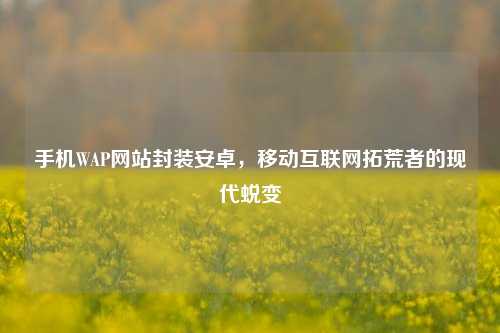 手机WAP网站封装安卓，移动互联网拓荒者的现代蜕变