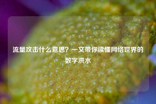 流量攻击什么意思？一文带你读懂网络世界的数字洪水