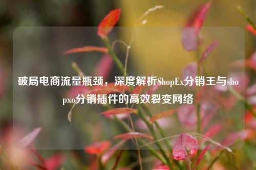 破局电商流量瓶颈，深度解析ShopEx分销王与shopxo分销插件的高效裂变网络