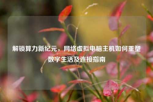 解锁算力新纪元，网络虚拟电脑主机如何重塑数字生活及连接指南