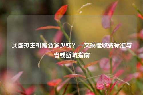 买虚拟主机需要多少钱？一文搞懂收费标准与省钱避坑指南