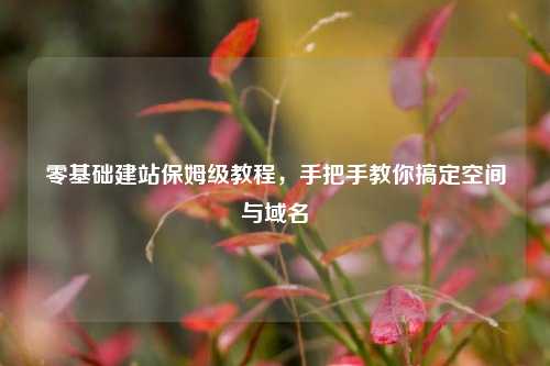 零基础建站保姆级教程，手把手教你搞定空间与域名
