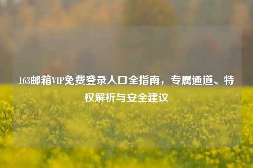 163邮箱VIP免费登录入口全指南，专属通道、特权解析与安全建议