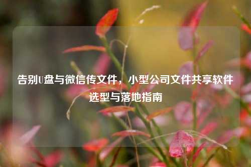 告别U盘与微信传文件，小型公司文件共享软件选型与落地指南