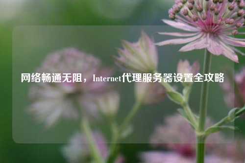 网络畅通无阻，Internet代理服务器设置全攻略
