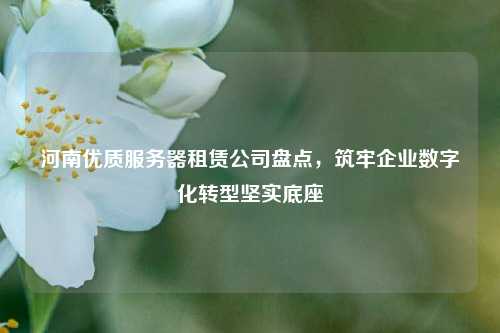 河南优质服务器租赁公司盘点，筑牢企业数字化转型坚实底座