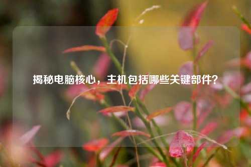 揭秘电脑核心，主机包括哪些关键部件？