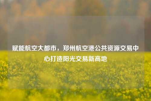 赋能航空大都市,郑州航空港公共资源交易中心打造阳光交易新高地