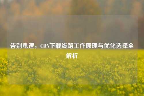 告别龟速，CDN下载线路工作原理与优化选择全解析