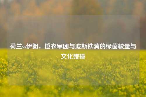 荷兰vs伊朗，橙衣军团与波斯铁骑的绿茵较量与文化碰撞