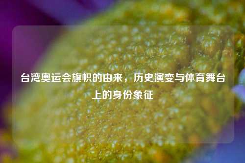 台湾奥运会旗帜的由来，历史演变与体育舞台上的身份象征