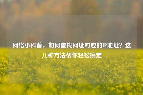 网络小科普，如何查找网址对应的IP地址？这几种方法帮你轻松搞定