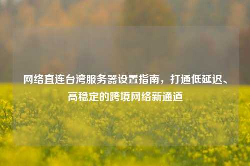 网络直连台湾服务器设置指南,打通低延迟、高稳定的跨境网络新通道
