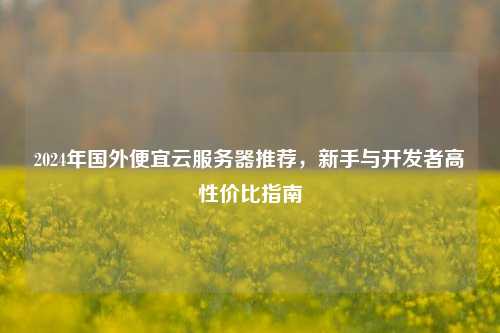 2024年国外便宜云服务器推荐，新手与开发者高性价比指南