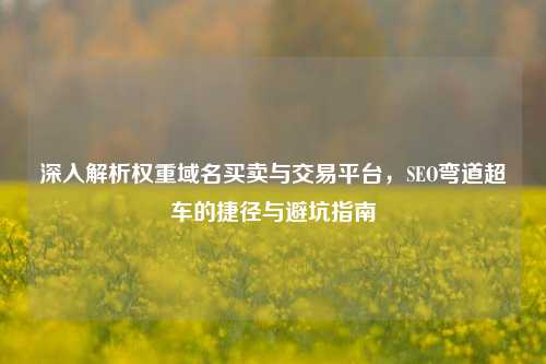 深入解析权重域名买卖与交易平台，SEO弯道超车的捷径与避坑指南
