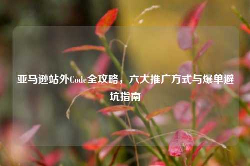亚马逊站外Code全攻略，六大推广方式与爆单避坑指南