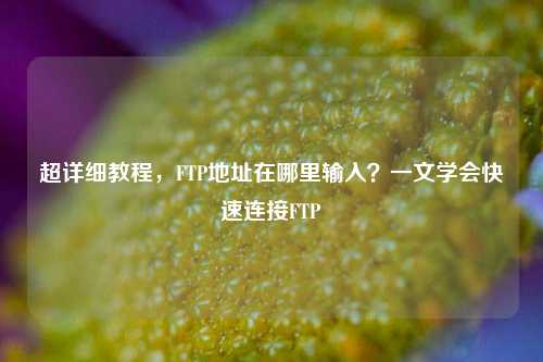 超详细教程，FTP地址在哪里输入？一文学会快速连接FTP
