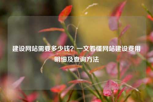 建设网站需要多少钱？一文看懂网站建设费用明细及查询方法