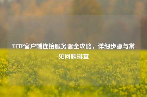 TFTP客户端连接服务器全攻略，详细步骤与常见问题排查