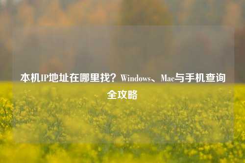 本机IP地址在哪里找？Windows、Mac与手机查询全攻略