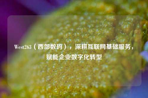 West263（西部数码），深耕互联网基础服务，赋能企业数字化转型