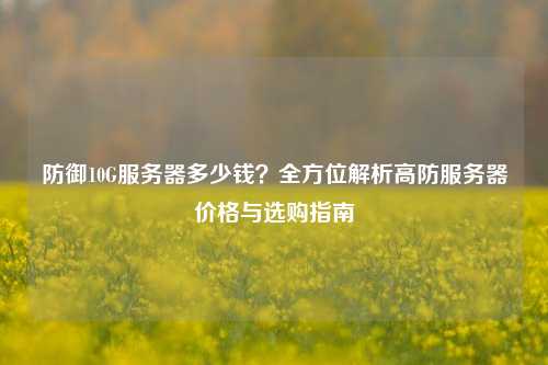 防御10G服务器多少钱？全方位解析高防服务器价格与选购指南