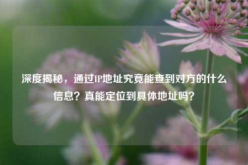 深度揭秘,通过IP地址究竟能查到对方的什么信息?真能定位到具体地址吗?