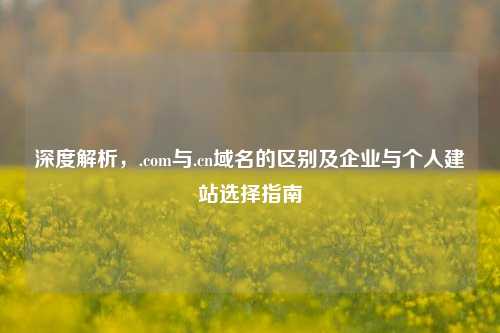 深度解析，.com与.cn域名的区别及企业与个人建站选择指南