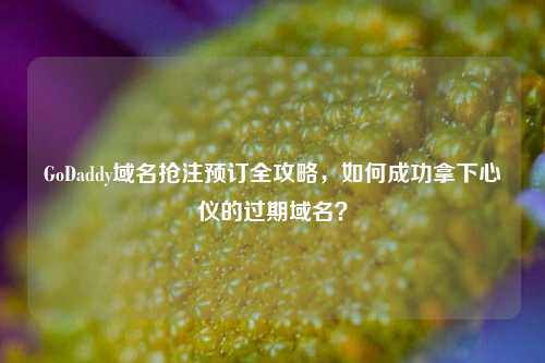GoDaddy域名抢注预订全攻略，如何成功拿下心仪的过期域名？