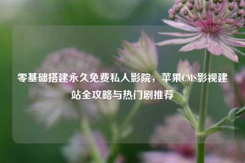 零基础搭建永久免费私人影院,苹果CMS影视建站全攻略与热门剧推荐