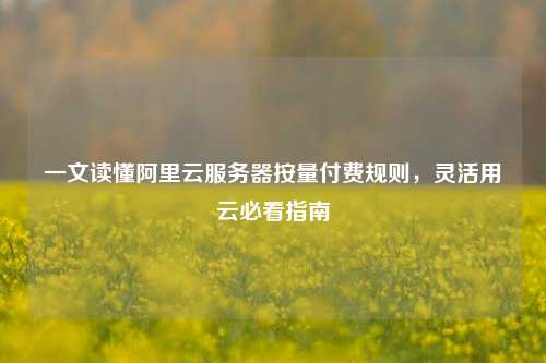 一文读懂阿里云服务器按量付费规则，灵活用云必看指南