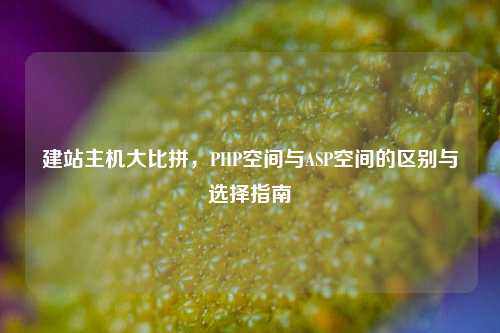 建站主机大比拼,PHP空间与ASP空间的区别与选择指南
