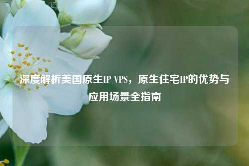 深度解析美国原生IP VPS,原生住宅IP的优势与应用场景全指南
